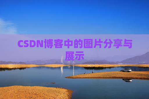 CSDN博客中的图片分享与展示